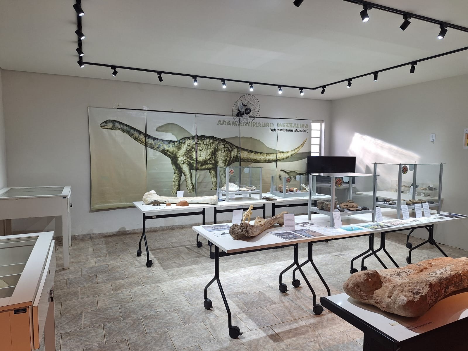 Conheça Adamantisaurus, dinossauro que recebeu nome inspirado em formação geológica do interior de SP