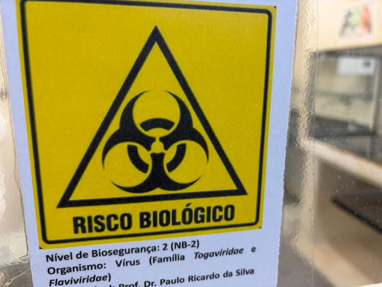 Quais vírus perigosos são mantidos em laboratórios de universidades? Entenda por que cientistas armazenam microrganismos vivos