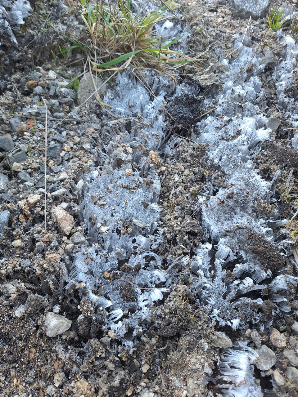 VÍDEO: Parque Nacional do Itatiaia registra segunda temperatura mais baixa do ano com -9,2ºC 
