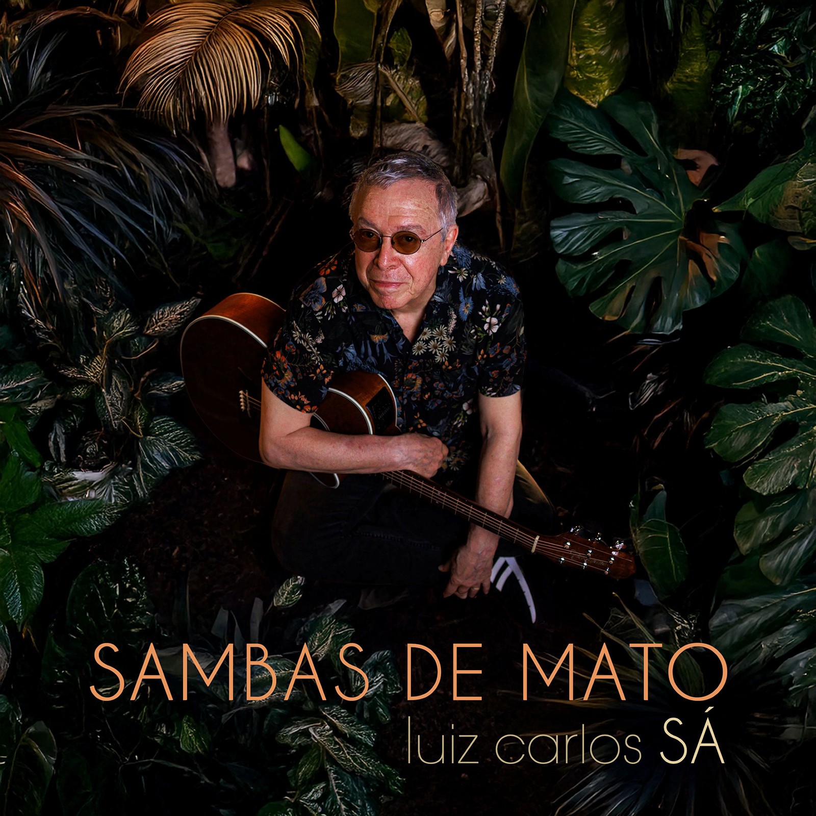 Luiz Carlos Sá lança o EP ‘Sambas de mato’ e grava álbum com parcerias com Almir Sater, Chico César e Ivan Lins