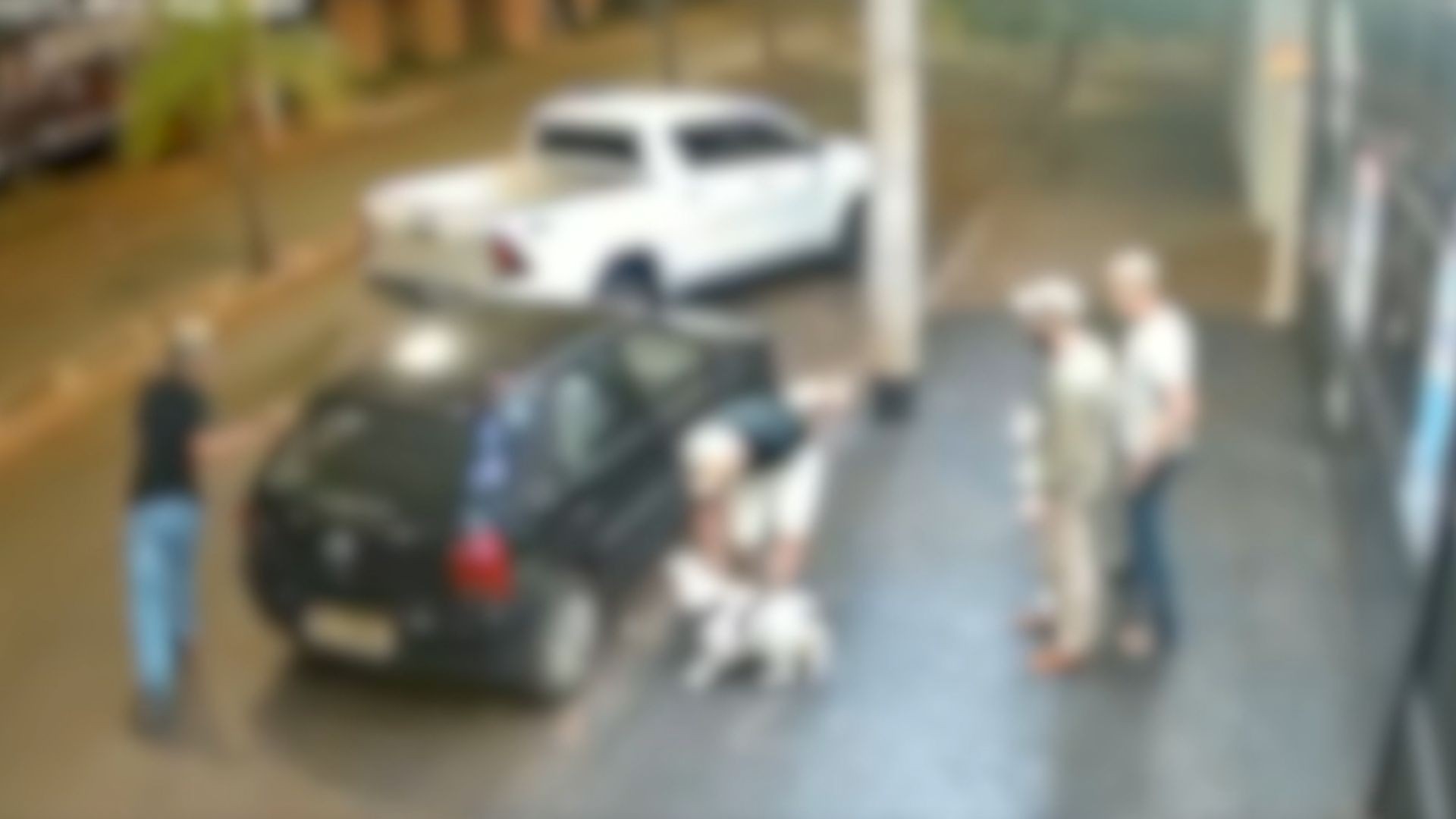 VÍDEO: Após agredir esposa, homem esfaqueia cachorro e ataca testemunha