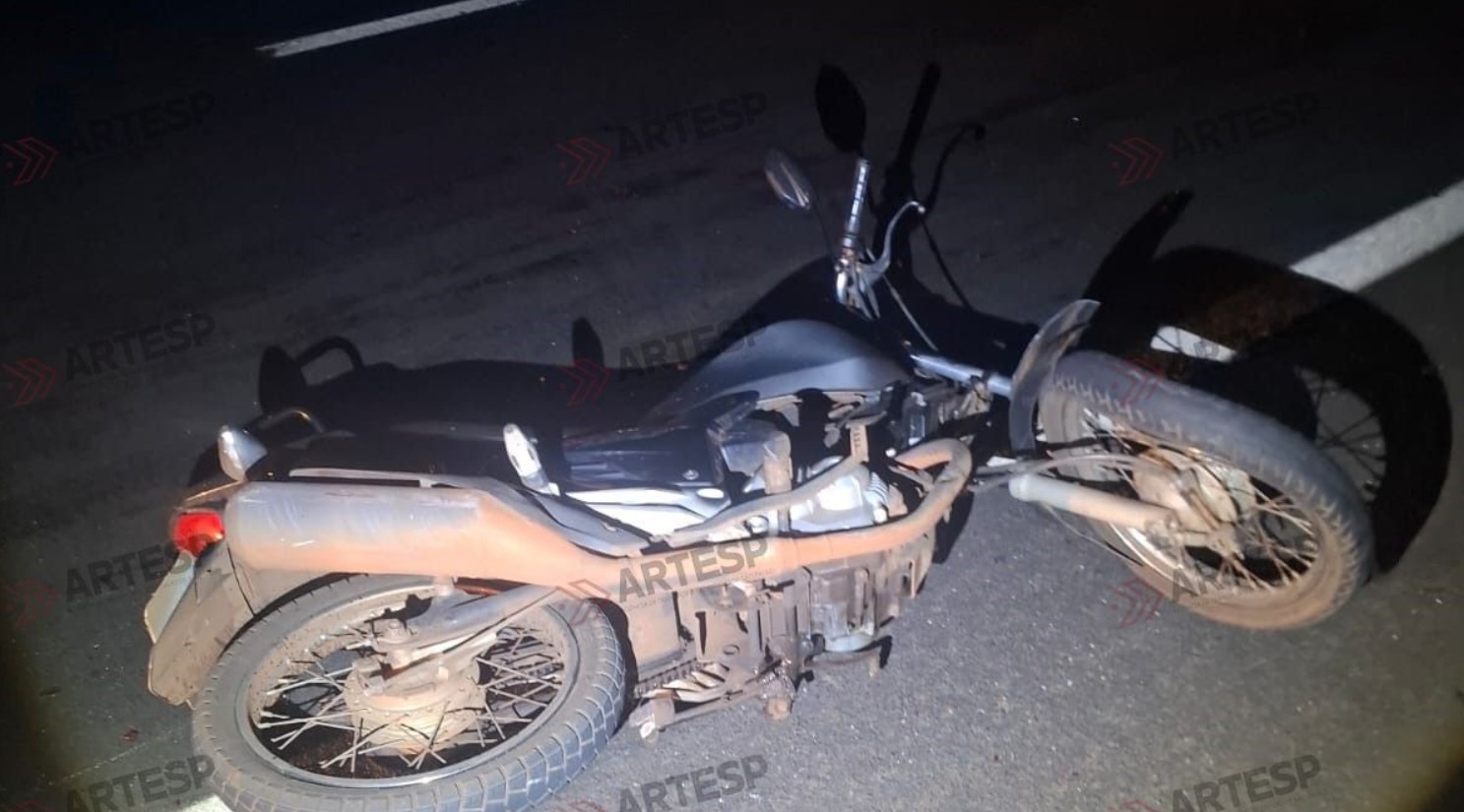 Garupa morre atropelado após moto bater em capivara em Pitangueiras, SP