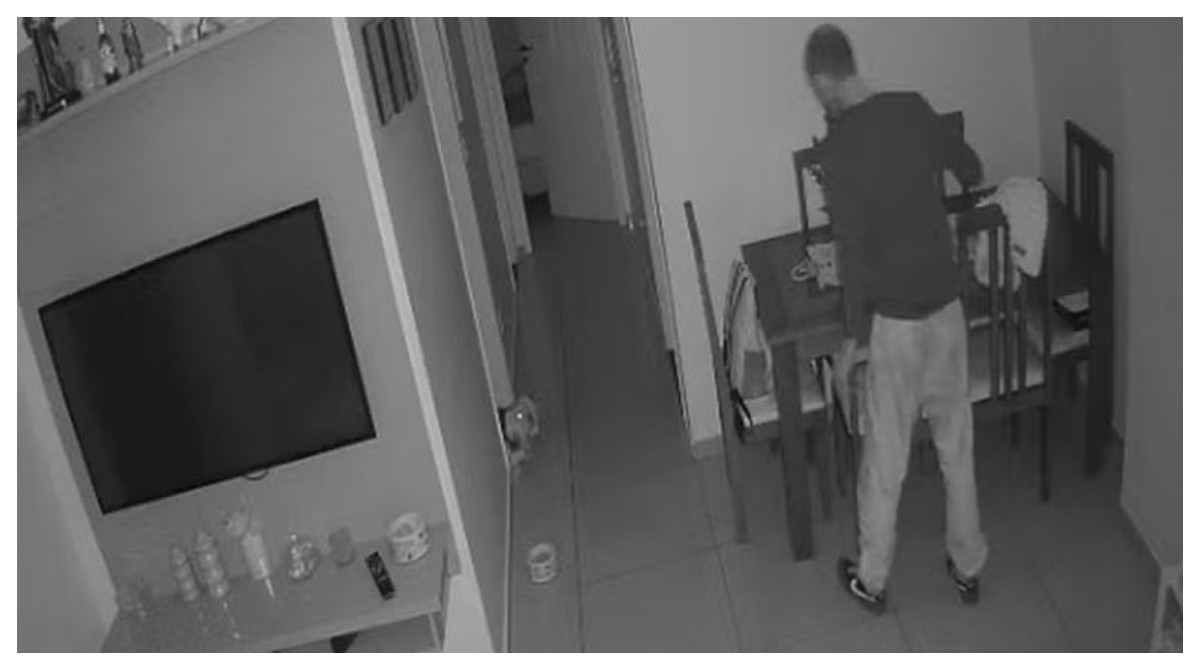 VÍDEO: Cãozinho late e assusta invasor, que foge sem furtar apartamento na Vila Olímpia, na Zona Sul de SP 