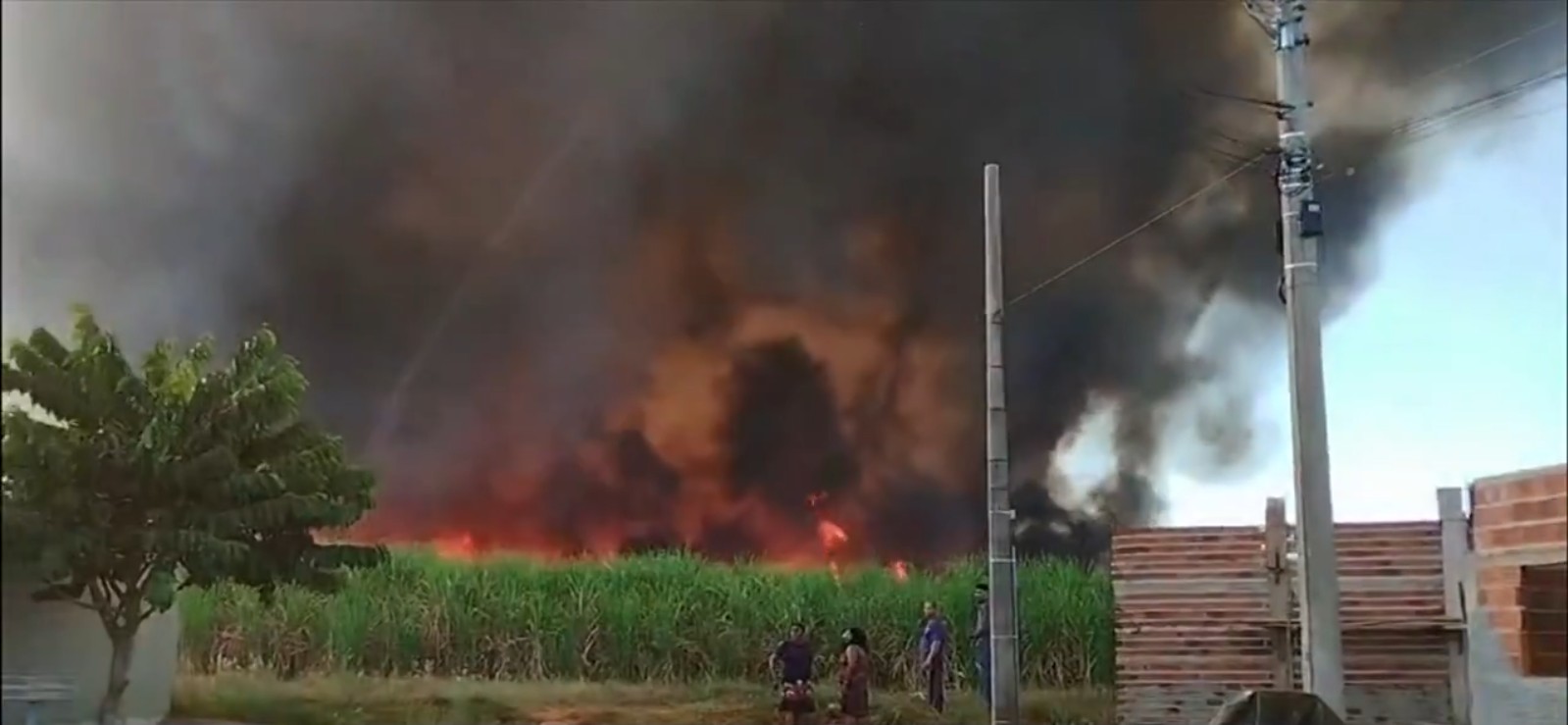 Incêndio de grande proporção atingiu canavial de Tanabi por três horas 