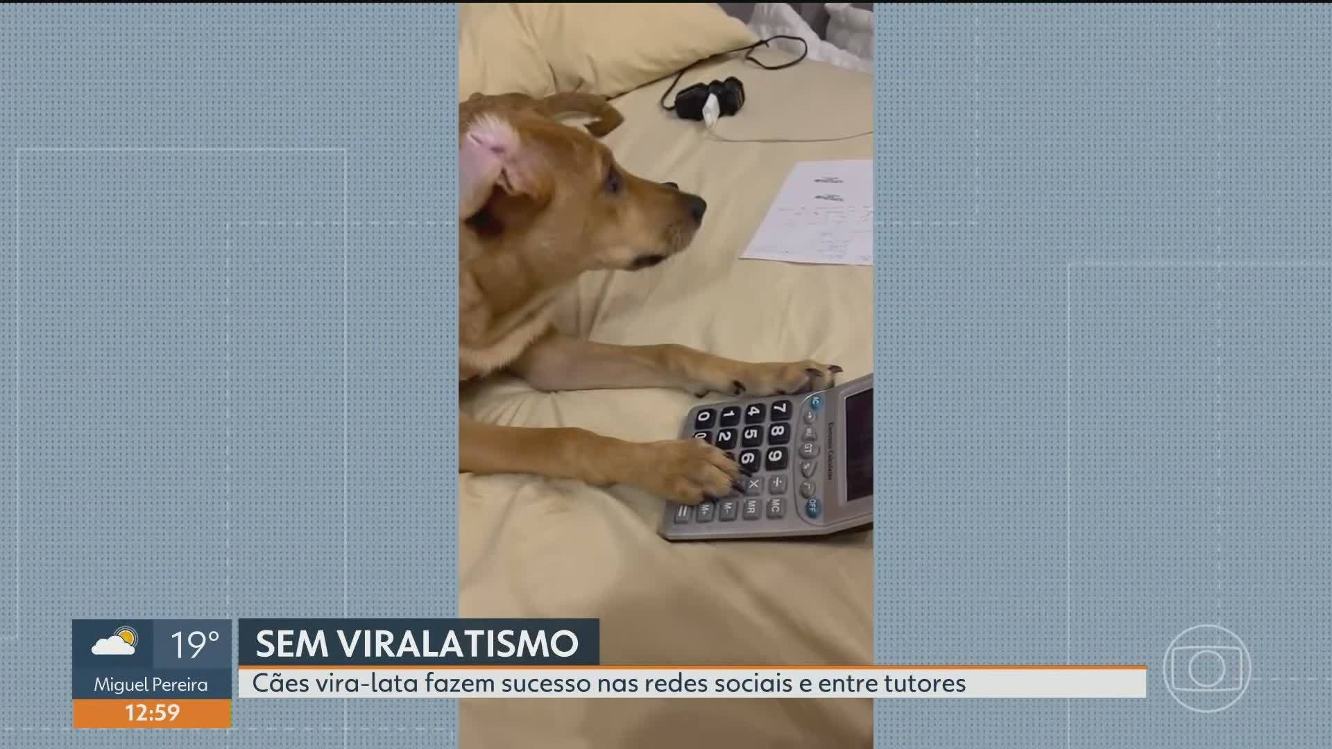 VÍDEOS: RJ1 de sexta, 31 de julho de 2026
