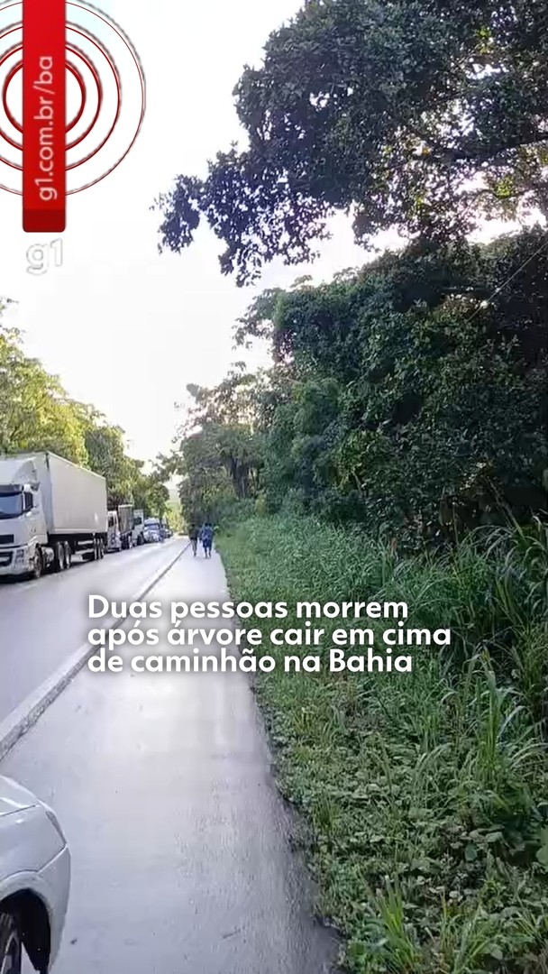 Vídeos do g1 Bahia e TV Bahia – quinta-feira, 26 de março de 2026