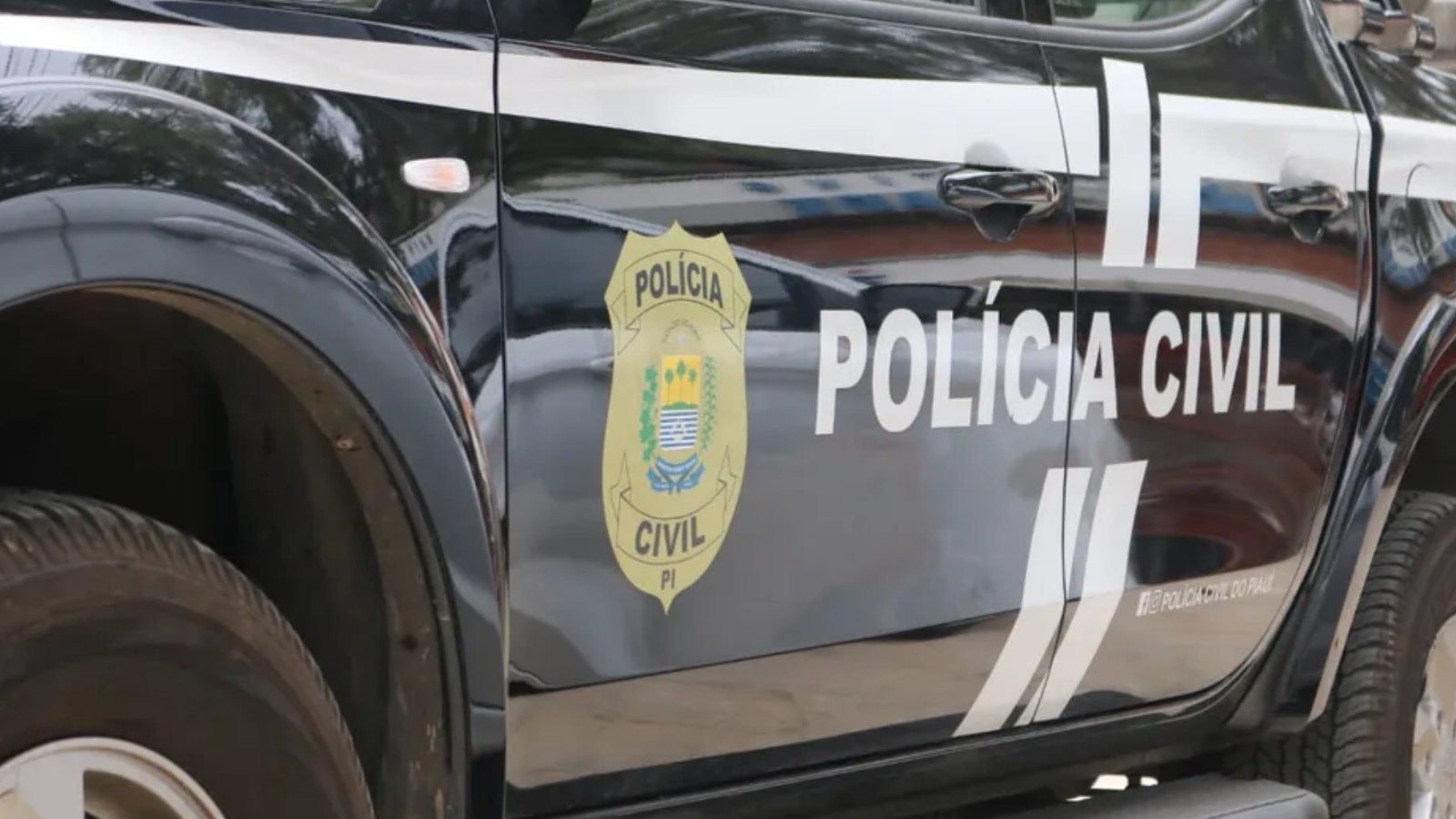 Dona de pizzaria é presa suspeita de desvio de energia em Teresina