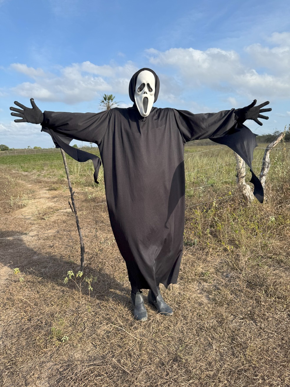 Meme criado no interior do Rio Grande do Norte foi o mais procurado no Google em 2024 — Foto: Matheus Cobertura/cedida