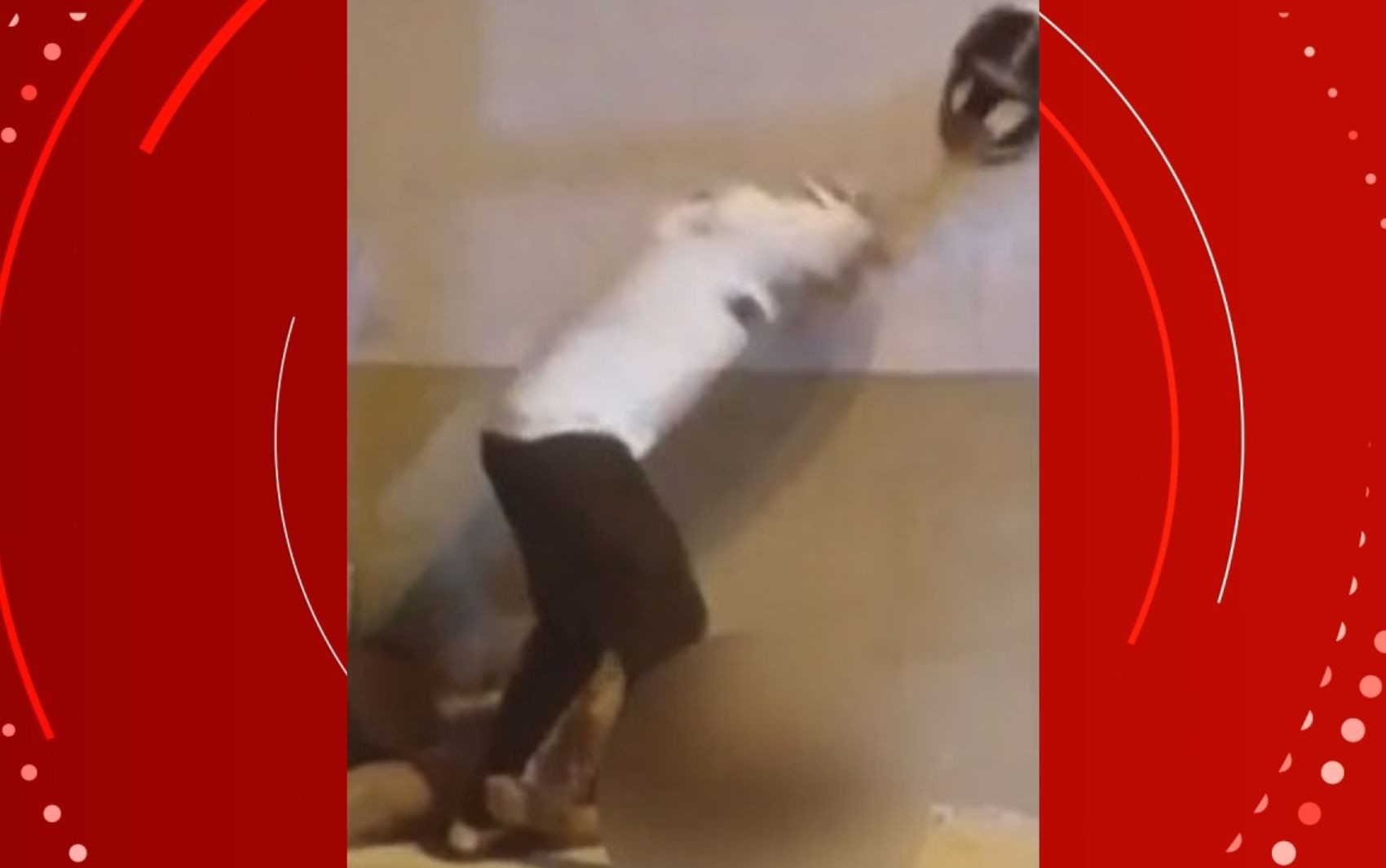 VÍDEO: homem é flagrado ao agredir mulher com capacete na Bahia