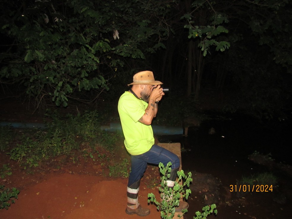 Biólogo e doutor em zoologia Thiago Maia Davanso — Foto: Thiago Maia Davanso/Arquivo pessoal