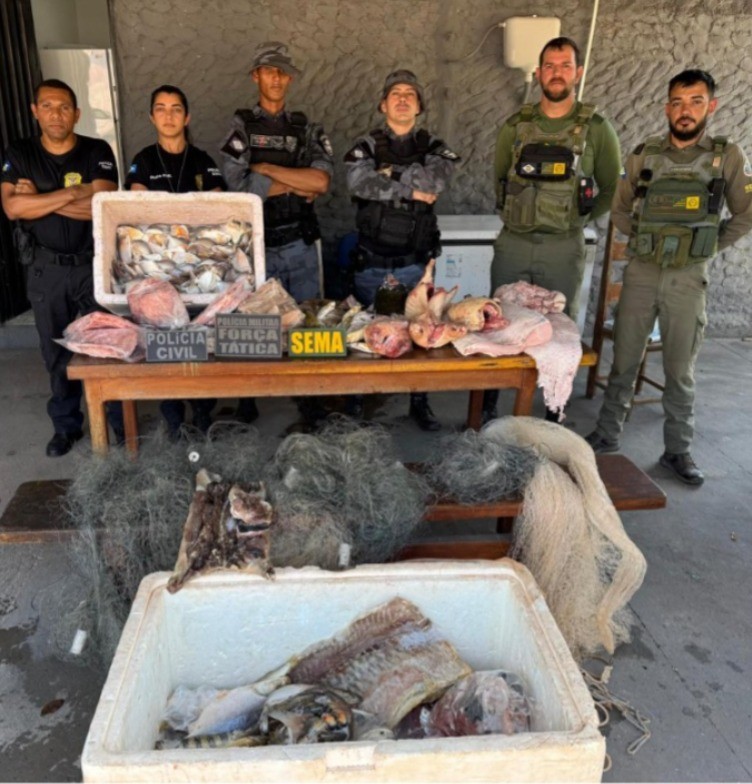 Empresário é preso com 77 kg de pescado ilegal e é solto após pagar fiança em MT