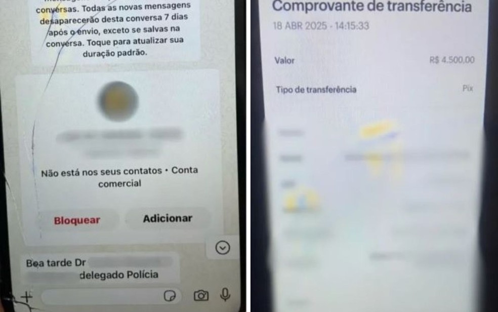 Prints mostram whatsapp do falso delegado e comprovante de transferência, Goiás — Foto: Divulgação/Polícia Civil