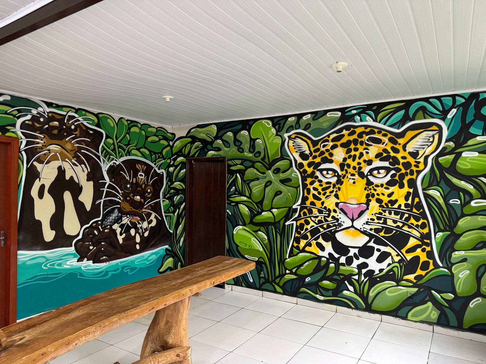 'Terra da onça-pintada': conheça centro de educação ambiental inaugurado em MT