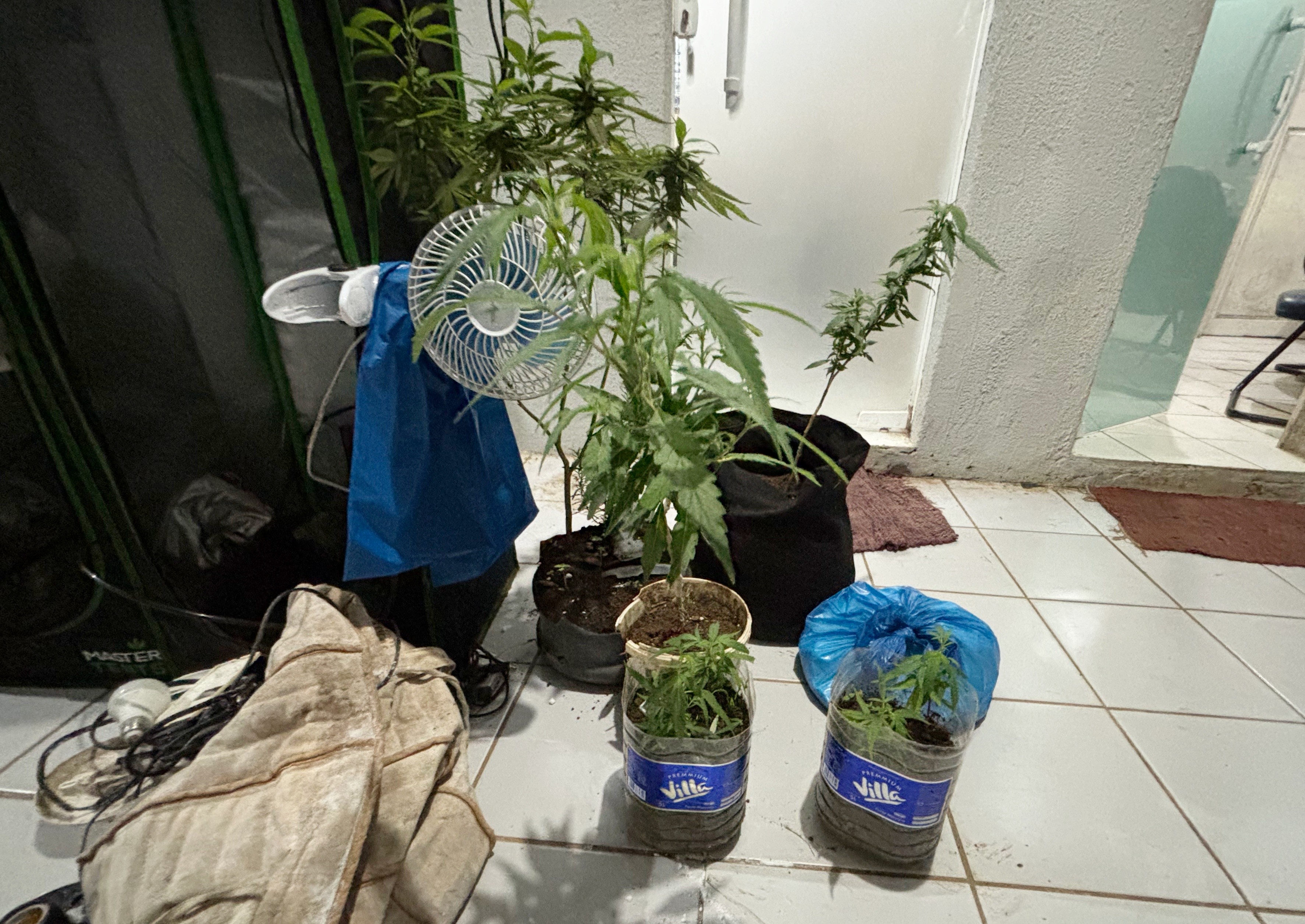 
Justiça decreta prisão preventiva de suspeito de plantar maconha em Fernando de Noronha