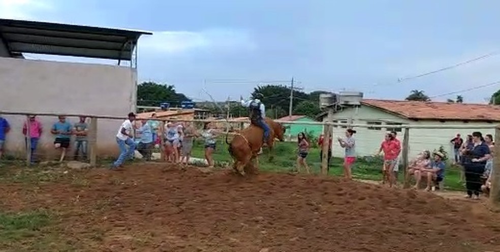 Peão de rodeio morre pisoteado por boi durante montaria em MG, Centro-Oeste