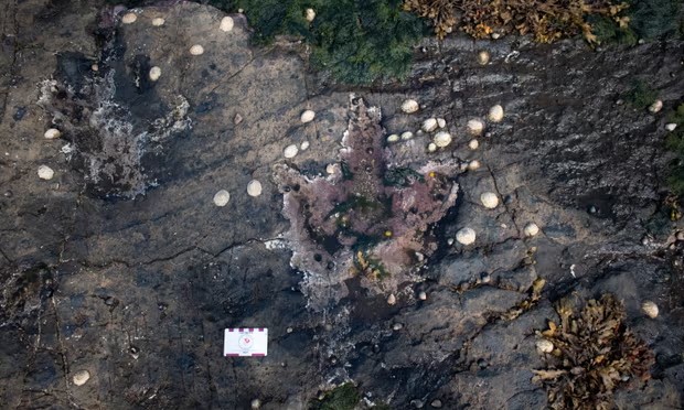 Você Não Tá Convidada pro Meu Bat Mitzvá!