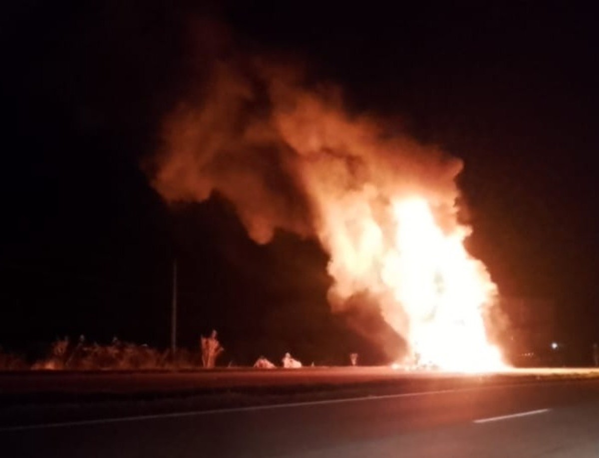 Caminhão com mais de 50 bois pega fogo na BR-040, e parte dos animais morre carbonizada