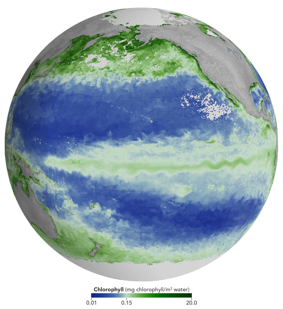 Imagem NASA Earth Observatory/Michala Garrison/PACE