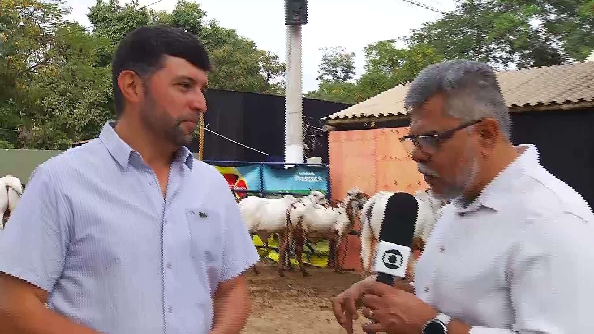 VÍDEOS: Inter TV Rural deste domingo, 12 de julho de 2026