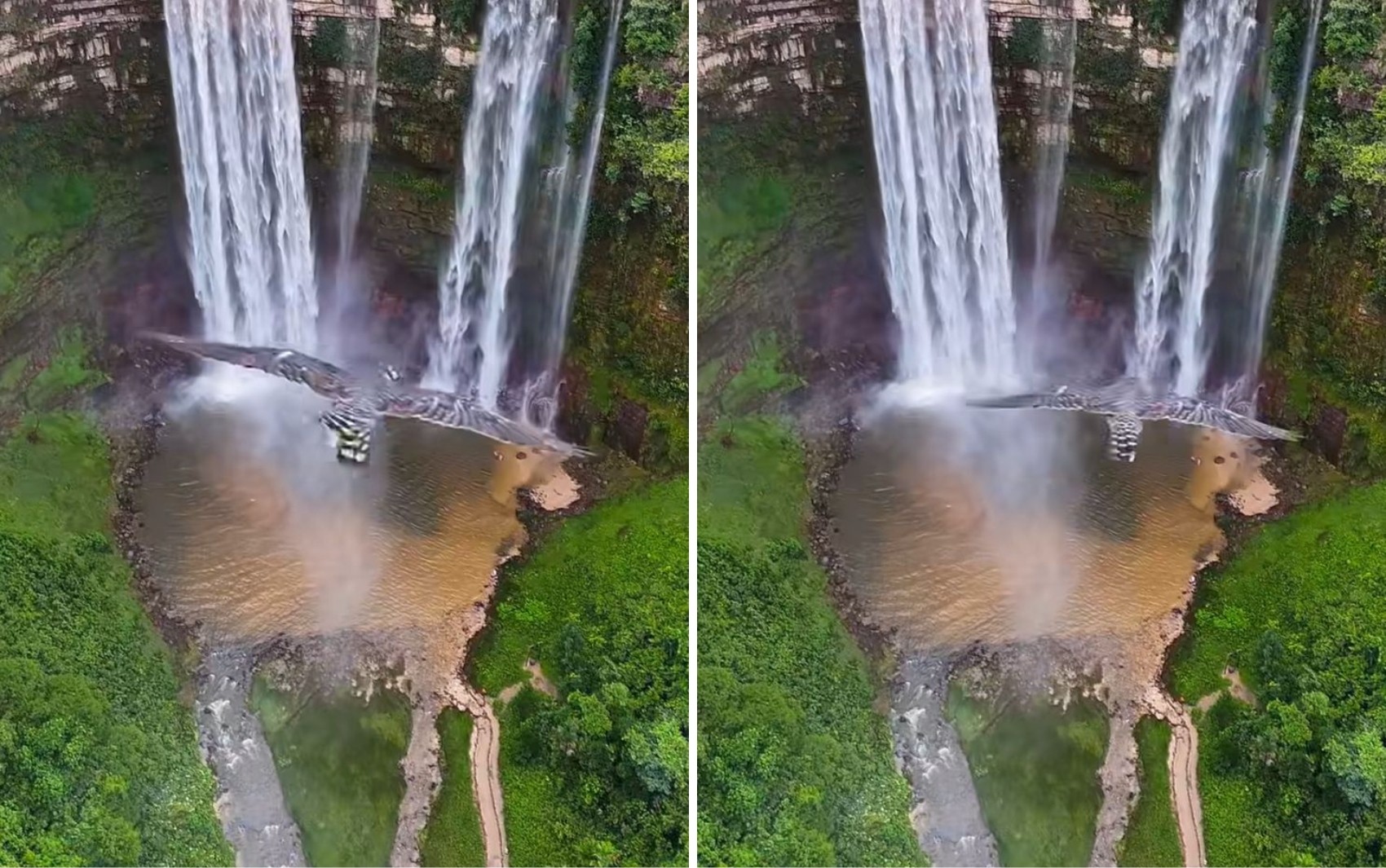 Drone é atacado por gavião durante gravação em cachoeira em cidade turística de Goiás