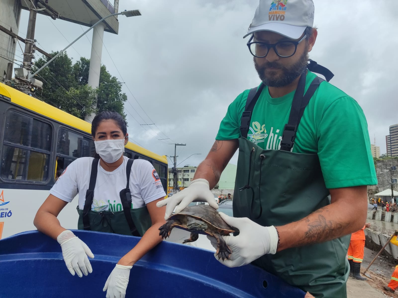 VÍDEO: cágados são flagrados no meio da rua durante fortes chuvas em Maceió