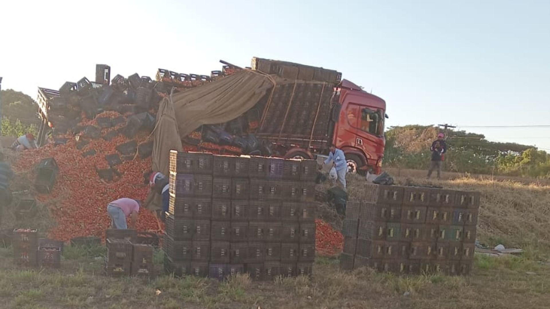 Motoristas são multados pela PRF durante saque de carga de tomates e tumulto na BR-050 em Uberlândia