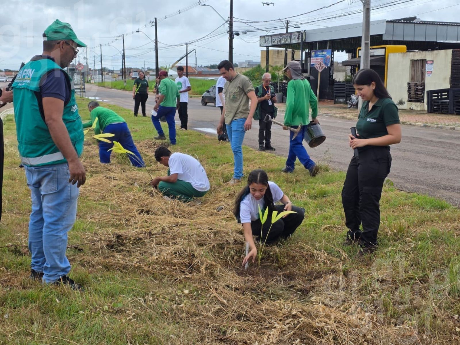 Com participação de alunos, projeto planta mudas de açaí em bairro de Rio Branco