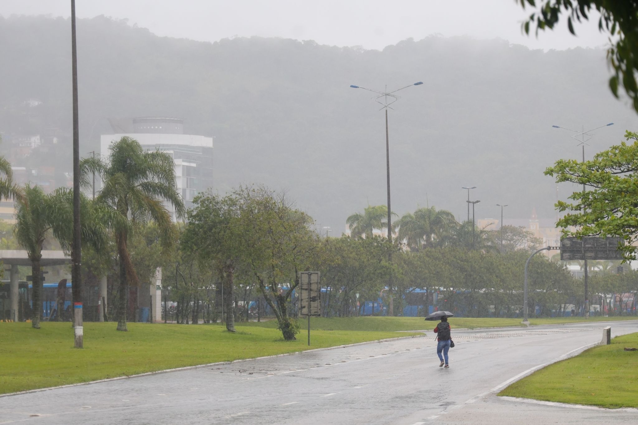 Formação de ciclone e frente fria trazem chuva intensa e temporais com risco de alagamentos no fim de semana em SC
