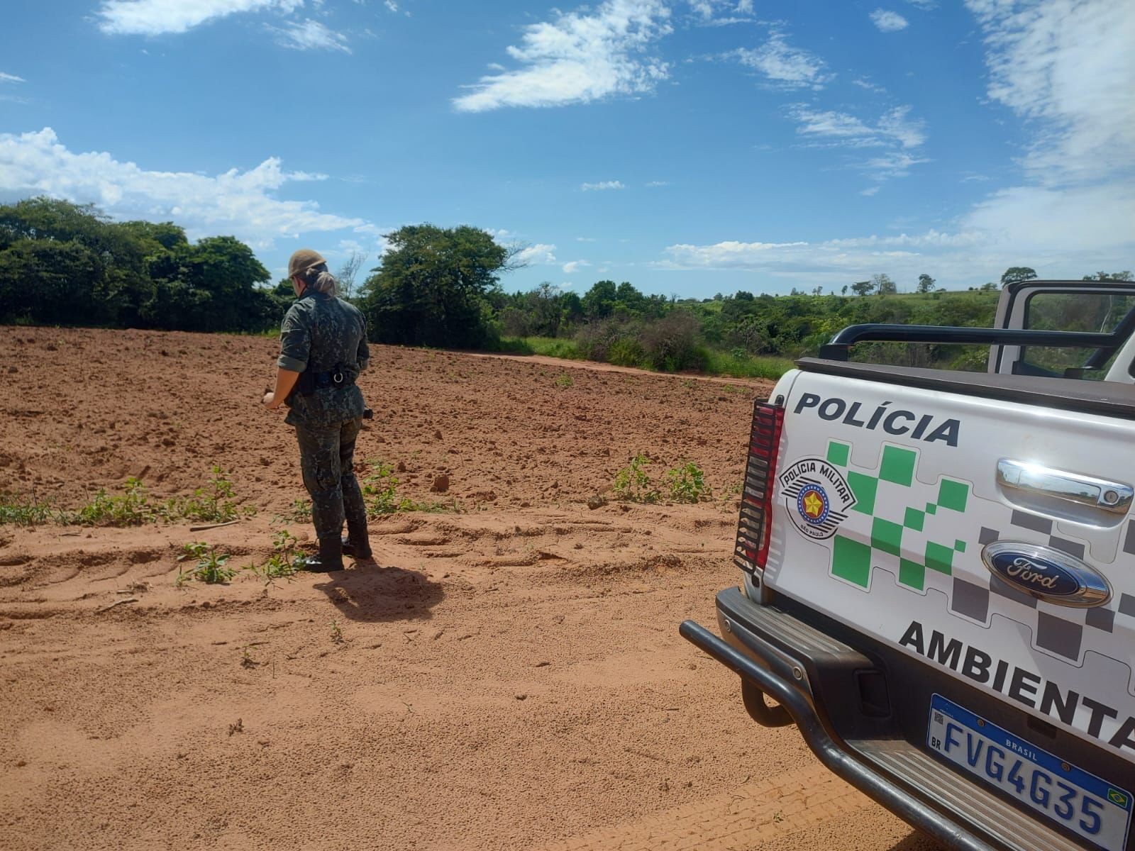 Usina sucroalcooleira é multada em quase R$ 3 mil por destruir vegetação nativa em Tupi Paulista 