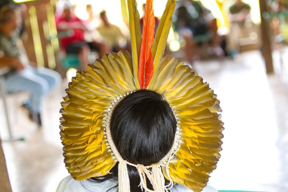 População indígena de MS — Foto: Reprodução