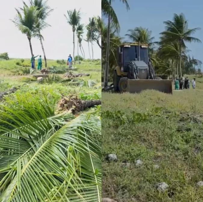 Justiça Federal manda suspender obras que derrubaram coqueiros em praia de Camboinha, na Paraíba
