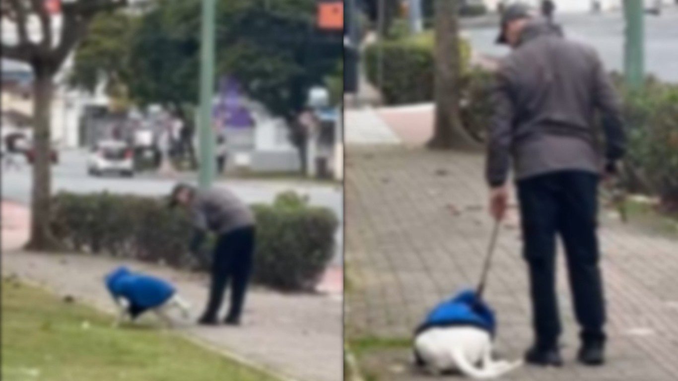 VÍDEO flagra homem agredindo cão durante passeio e tutor é preso em Balneário Camboriú