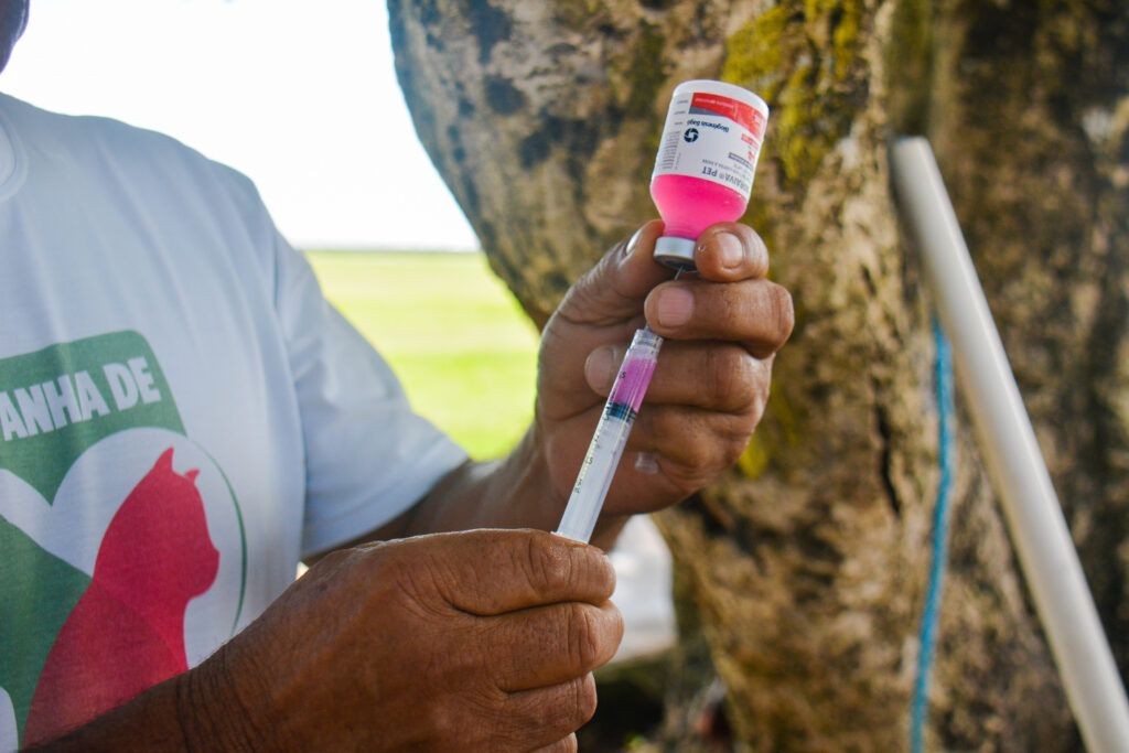 Zona Sul de Macapá recebe vacinação antirrábica itinerante; veja locais