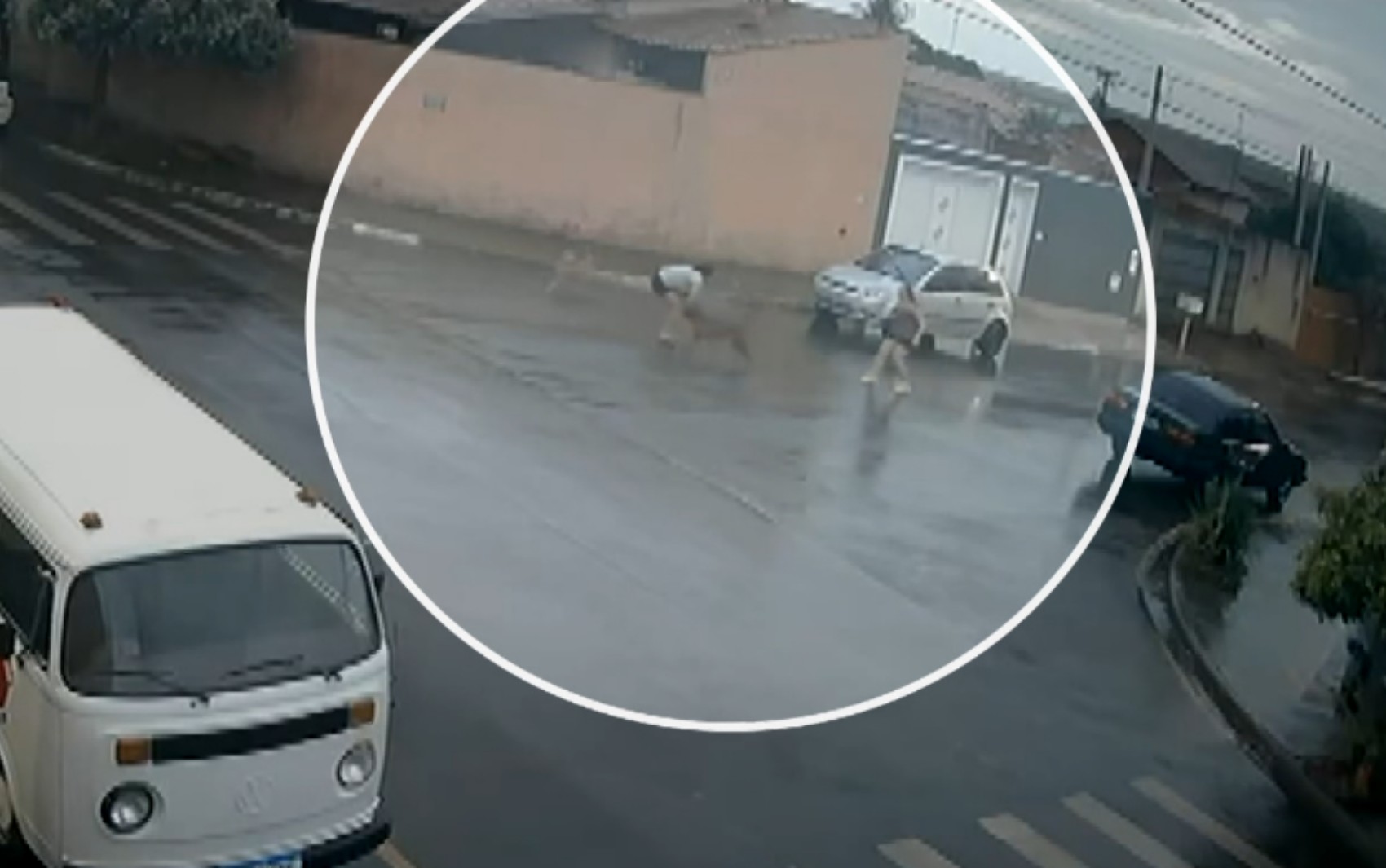 Mãe e filha são atacadas por cachorro no meio da rua e ficam feridas, em Viradouro; VÍDEO