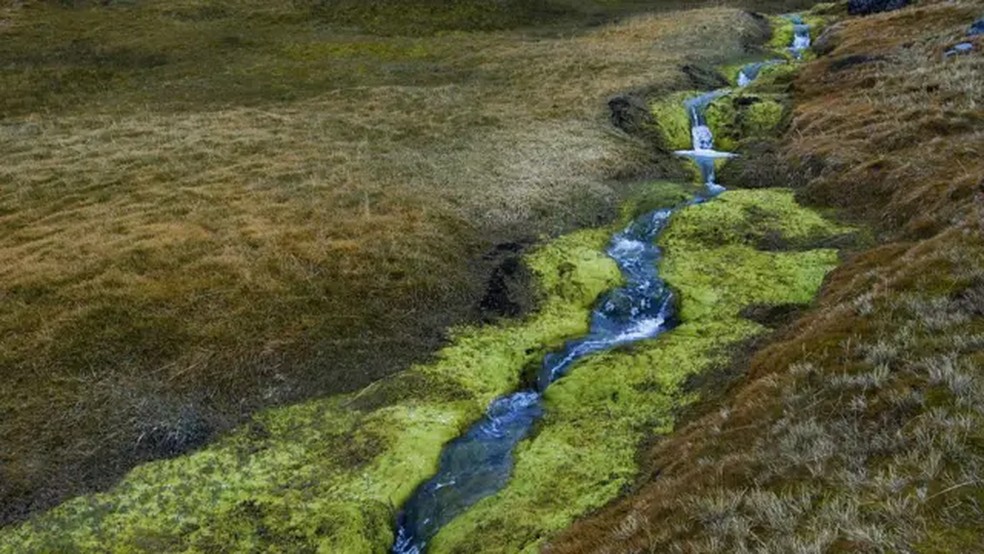 Com o aumento das temperaturas, cobertura de gelo vai desaparecendo e dando lugar a vegetação. — Foto: GETTY IMAGES via BBC