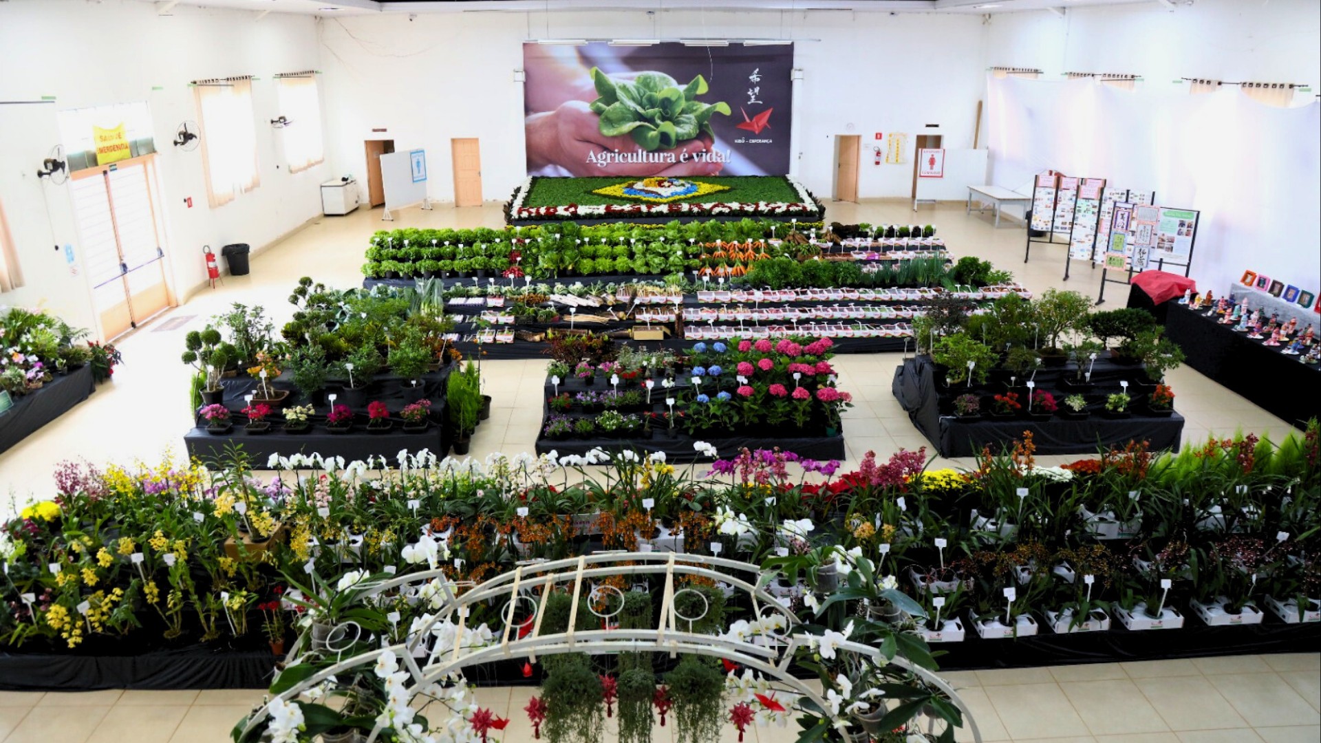 Furusato Matsuri acontece neste fim de semana em Mogi das Cruzes; confira programação