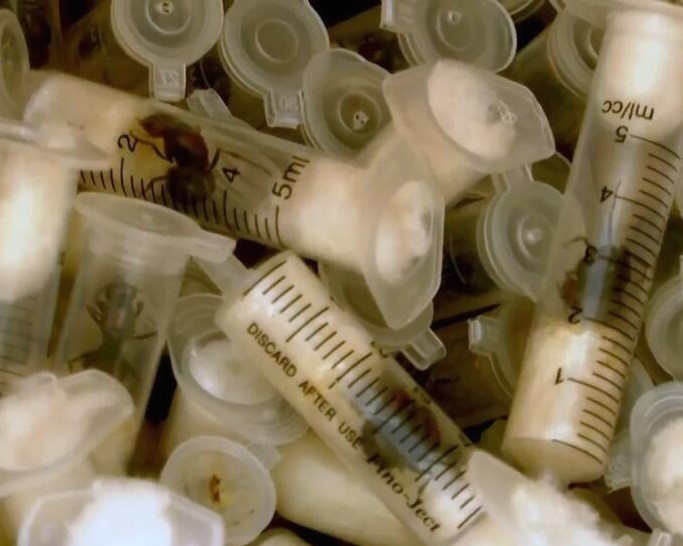 Você Não Tá Convidada pro Meu Bat Mitzvá!