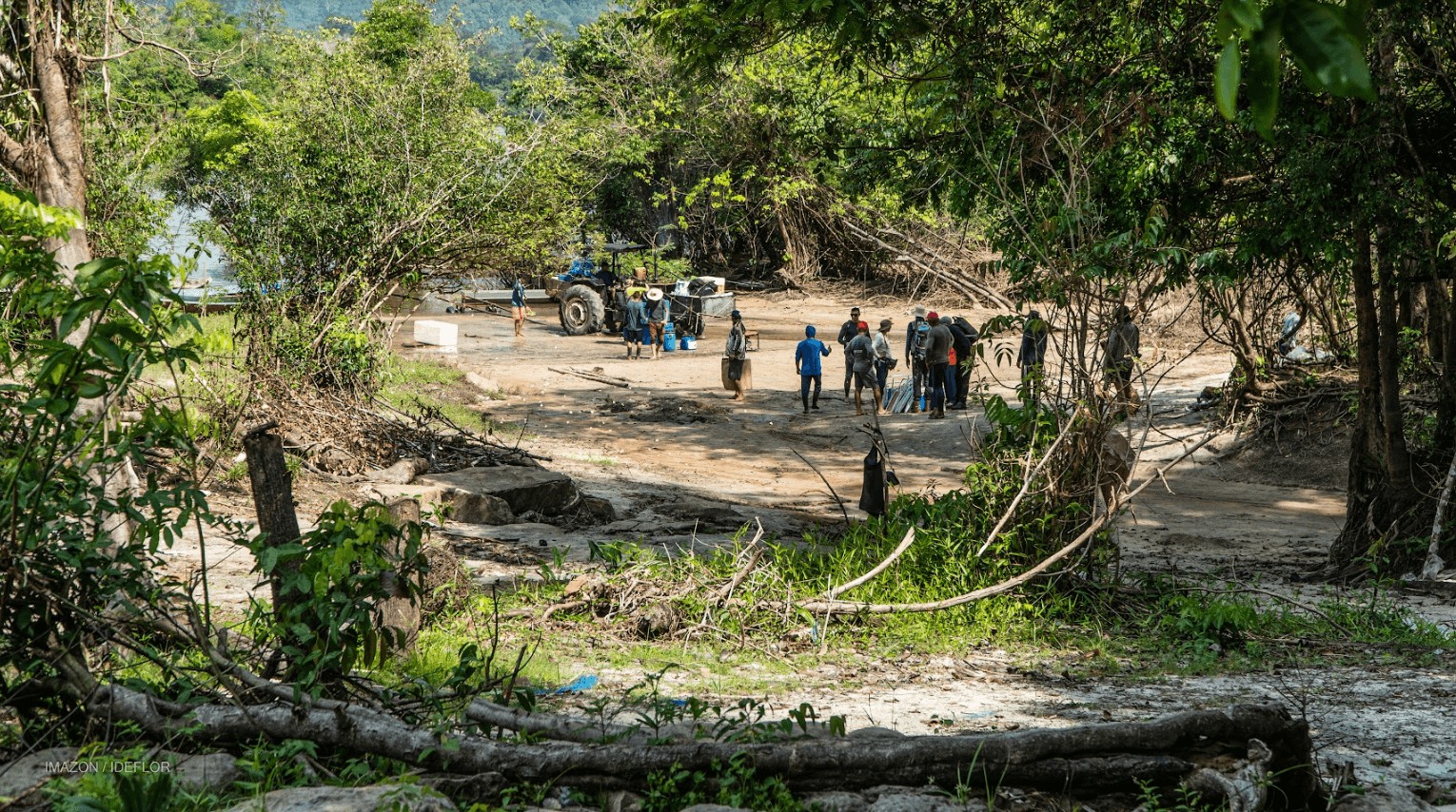 Desmatamento na Amazônia bate 10 mil km² no ano e alcança a área no PA que é maior 'bloco' protegido no mundo, diz Imazon