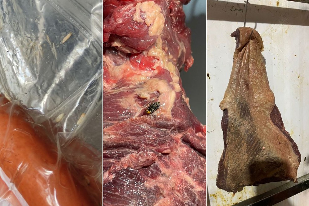 Carnes estavam com larvas, insetos, bolor e coloração escura — Foto: Polícia Civil/Divulgação
