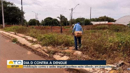 Ação contra o Aedes aegypti é realizada em Araguaína; saiba como funciona