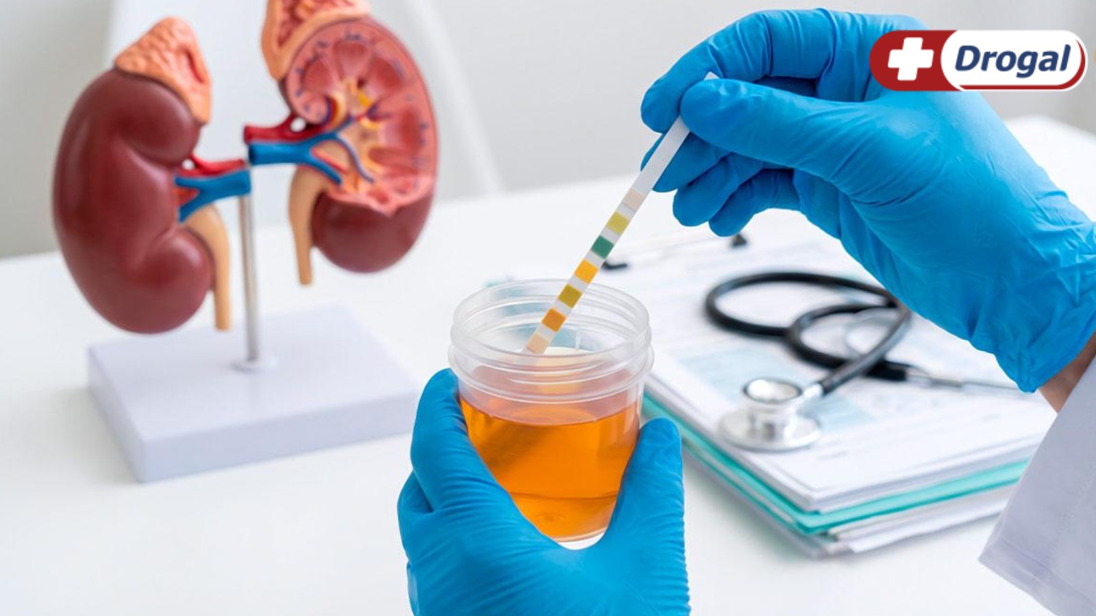 Infecção urinária pega na relação sexual? Entenda