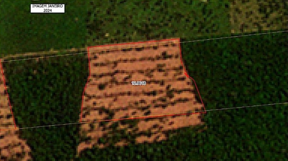 Imagens de satélites da área em janeiro de 2024 — Foto: Batalhão de Policia Ambiental de Rondônia/Site