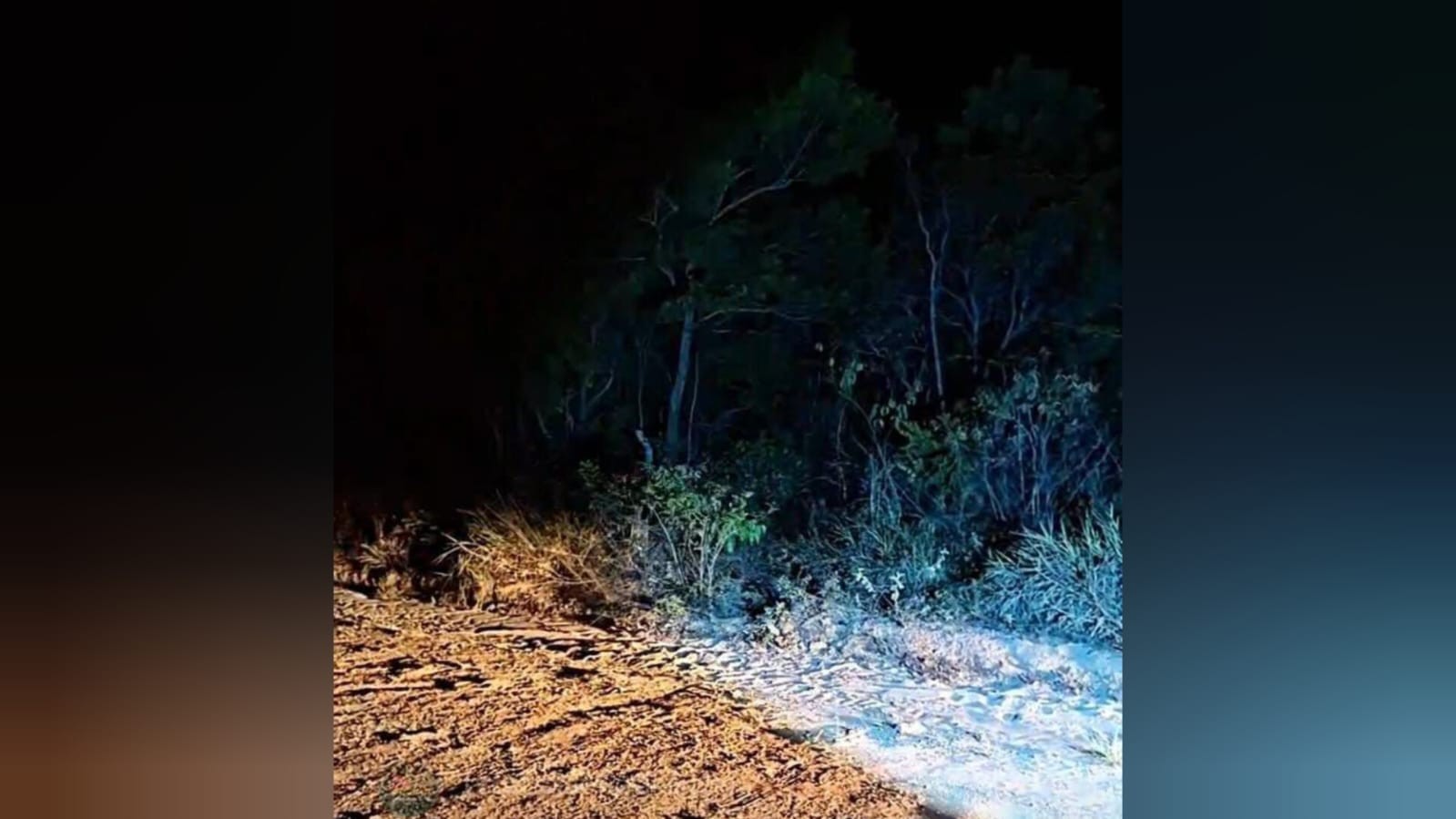 Suspeito de matar motorista de aplicativo é preso; corpo foi encontrado no Eixo Forte