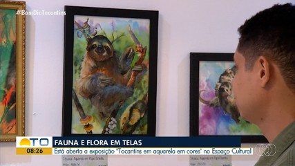 Exposição que valoriza a fauna e flora do Tocantins é aberta no Espaço Cultural, em Palmas