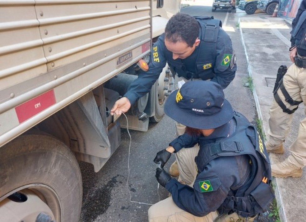 PRF autua 13 caminhoneiros por crime ambiental durante operação contra poluição no Piauí — Foto: Divulgação /PRF-PI