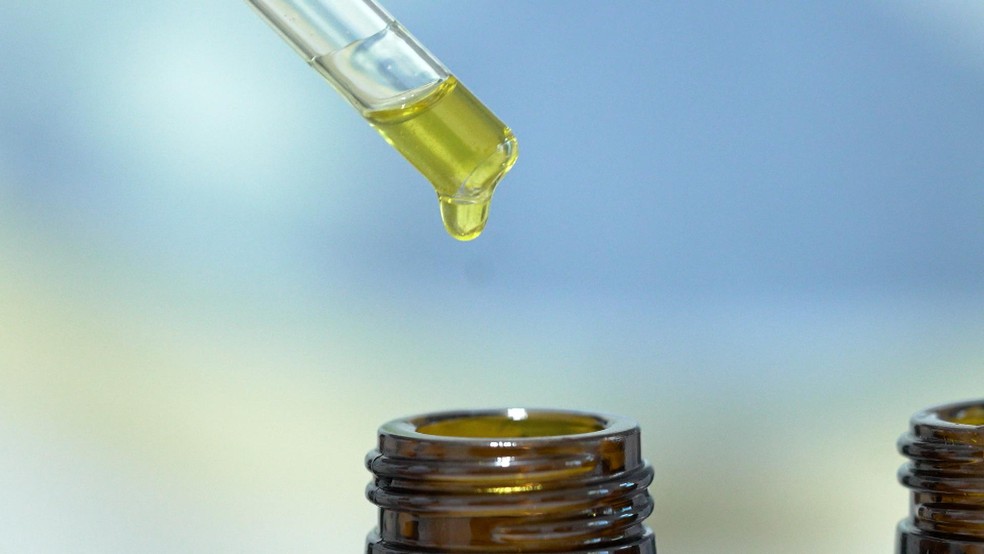 O cannabis medicinal é um óleo extraído da planta da maconha — Foto: Profissão Repórter