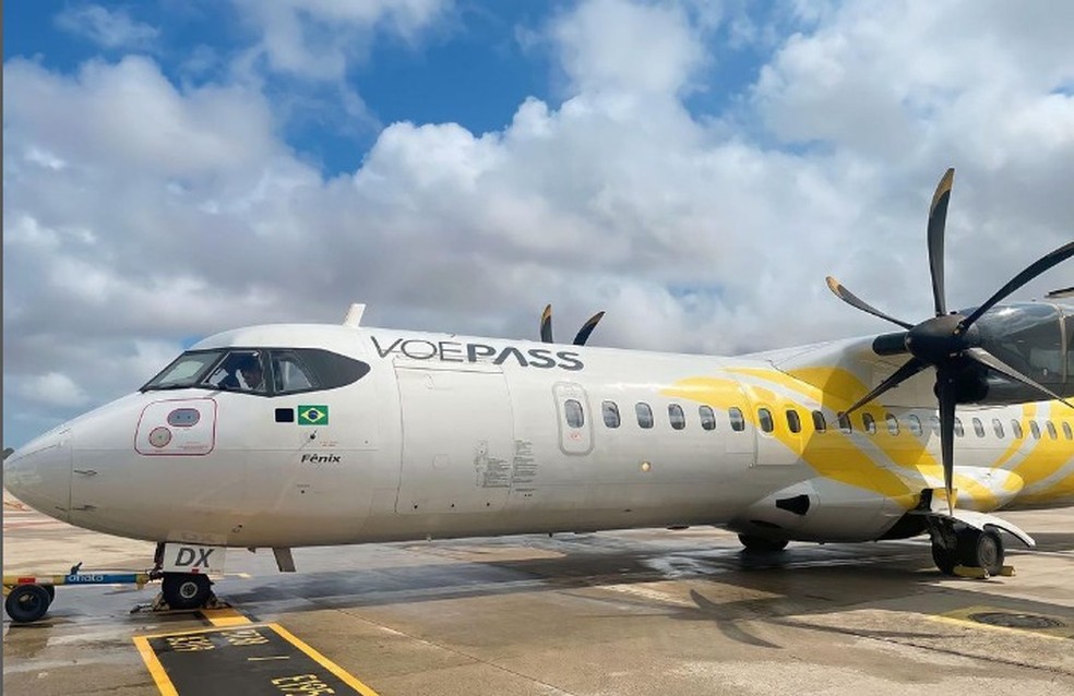 Imagem de modelo de avião que caiu em Valinhos, no interior de SP — Foto: Reprodução