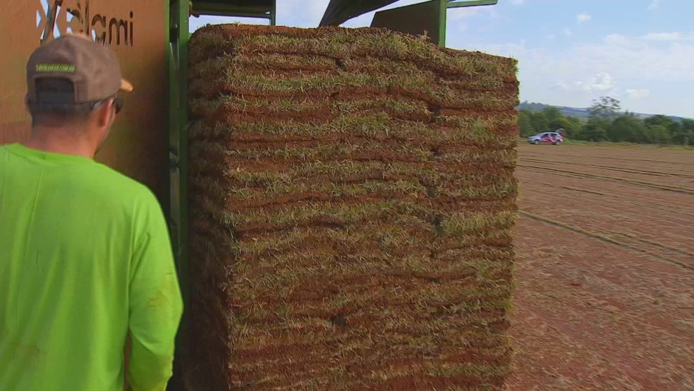 Plantação de grama em Itapetininga (SP) ocupa área equivalente a 169 campos de futebol e abastece estádios — Foto: TV TEM/Reprodução