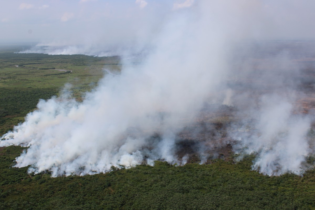 No AP, incêndio na Reserva Biológica