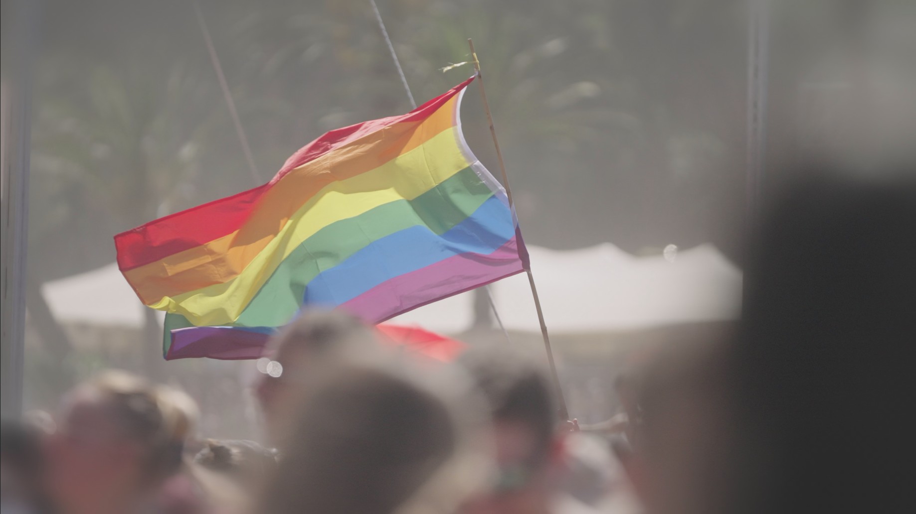 Parada de Luta LGBT+ de Porto Alegre acontece neste domingo, na Redenção